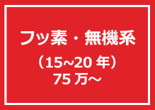 フッ素・無機系